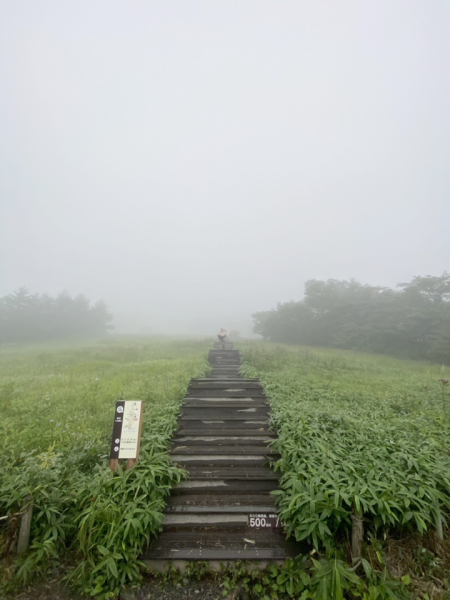 霧降高原に行って来ました！雨が降っていたのですが、晴れの日と雰囲気が違い良かったです！