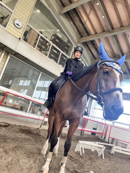 去年、唐突に乗馬を始めてみました！