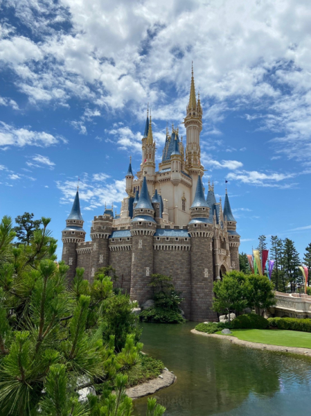 趣味はディズニーランド・シーに行くことです。奥さんの影響で好きになりました。月に一回ほど行きます。