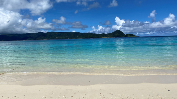 妻のルーツ「奄美大島」の海です。初めて透明な海を見て感動しました。いつもこんな景色を見ていたいです。