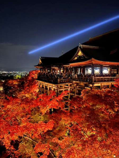 紅葉を見に行くのが好きです。清水寺から見た景色は圧巻でした。
