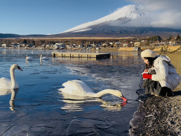 今年の1月－11℃の朝に富士見の日の出を見に来ました。とても綺麗で感動しました。