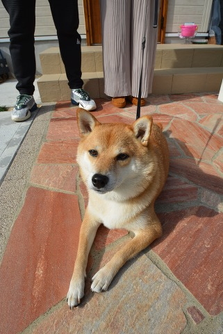 ついついシャッターを押してしまった１枚＾＾ｖ