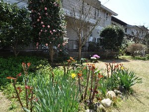 自慢の広いお庭。画像はございませんが、奥には奥様の為にご主人様自作のウッドデッキもございます♪