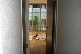 お子様たちは、打ち合わせに疲れて夢の中だったからです。お疲れ様でした～
