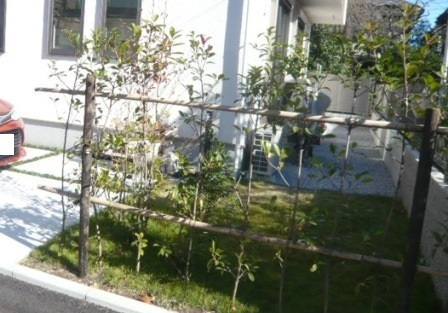 敷地と道路を優しく隔てる植栽が素敵です！