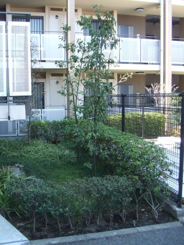 建物内のあちらこちらには緑が多く癒されます。