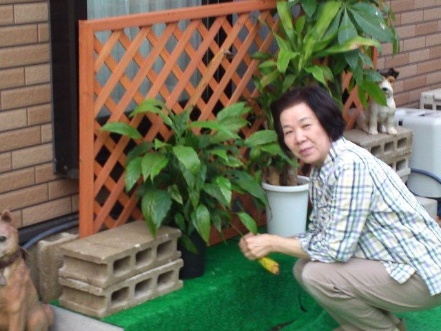 奥様♪