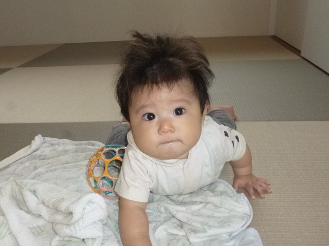 これからはこの和室でのお昼寝がメインになるでしょうね♪