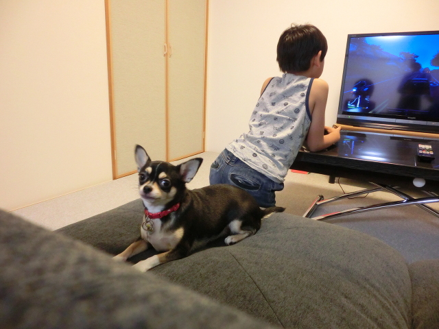 わんちゃんとお子様　ゲーム一緒にやりたかったな・・・