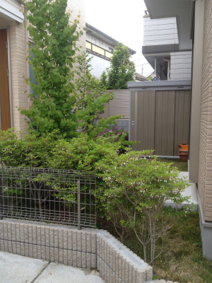 都心の庭付き！