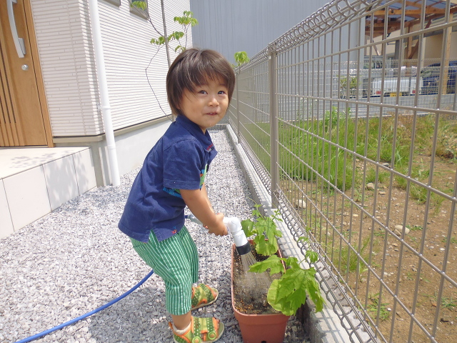早く大きくなぁ～れ！おてつだいもしっかり出来る様になりました。