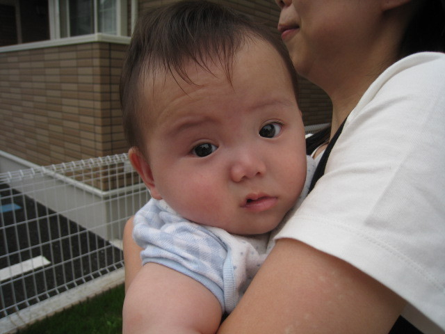 引渡し後に産まれた赤ちゃん♪初対面♪まるで天使ように可愛いかったです♪