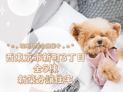 【西東京市新町 全5棟 新築分譲住宅】のイメージ1