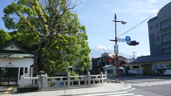 生まれも育ちも静岡なので、富士山を望める毎日が当たり前でした。たまに見える東京からの富士山では物足りなくなります。