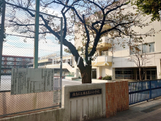 練馬区立練馬第三小学校 練馬区立練馬第三小学校