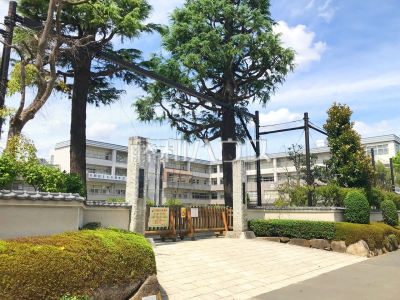 小学校(公立) 小学校(公立)