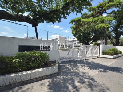小学校(公立) 小学校(公立)