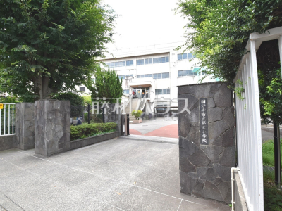 小学校(公立) 小学校(公立)