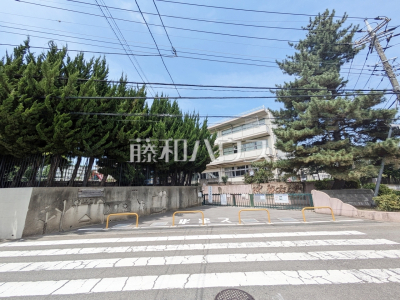 小学校(公立) 小学校(公立)