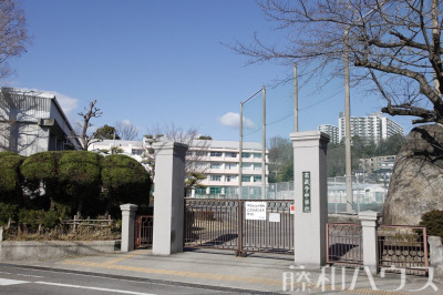 中学校(公立) 中学校(公立)