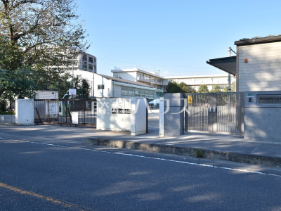 小学校(公立) 小学校(公立)