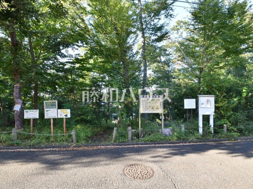 向山緑地公園