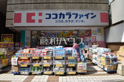 ドラッグストア ドラッグストア