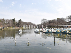 井の頭恩賜公園 井の頭恩賜公園