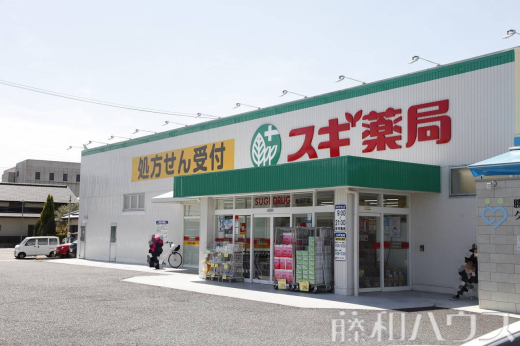 スギドラッグ松河戸店