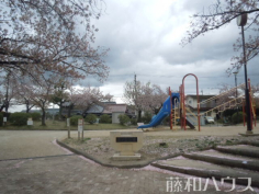 富が丘公園 富が丘公園