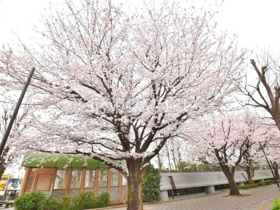公園・運動施設 公園・運動施設