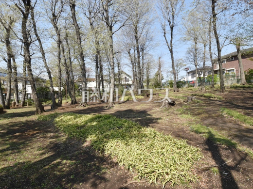 大沢雑木林公園