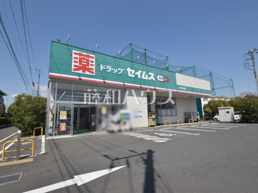 ドラッグセイムス小平小川店
