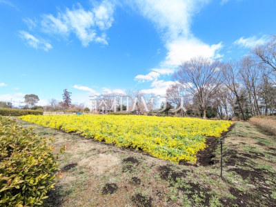 公園・運動施設 公園・運動施設