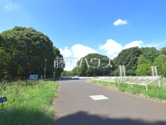 代々木公園 代々木公園