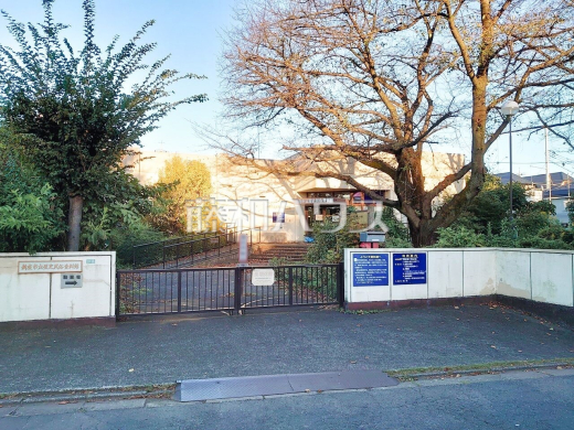 新座市立歴史民俗資料館