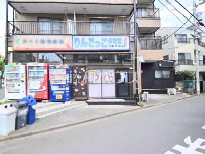 保育園 保育園