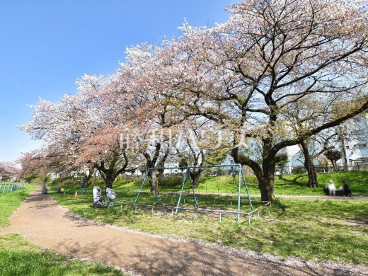 台田運動公園 サイクリング散策道