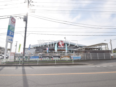 ホームセンター ホームセンター