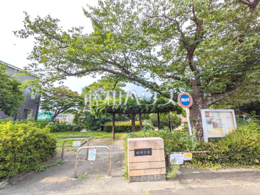 猿額公園