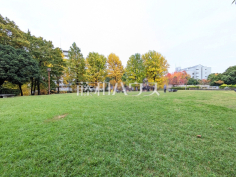 柳沢の池公園 柳沢の池公園