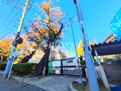 板橋区立中台小学校 板橋区立中台小学校