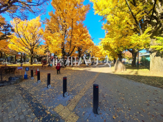 板橋区平和公園 板橋区平和公園