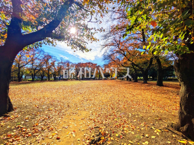 公園・運動施設 公園・運動施設