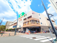 ライフ千川駅前店 ライフ千川駅前店