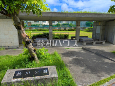 新川公園 新川公園