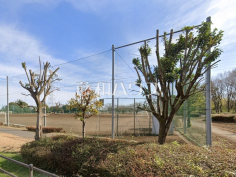 北中運動場 北中運動場