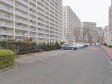 駐車場 【志木ニュータウン中央の森参番街5号棟】 駐車場 【志木ニュータウン中央の森参番街5号棟】