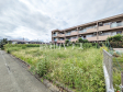 現地写真 【日野市三沢】 現地写真 【日野市三沢】